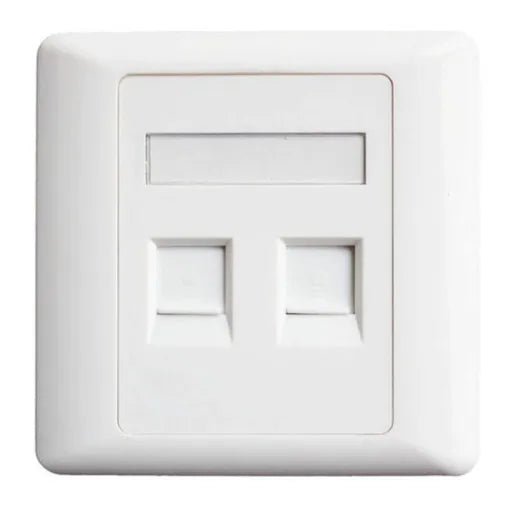 Face Plate Double Port
