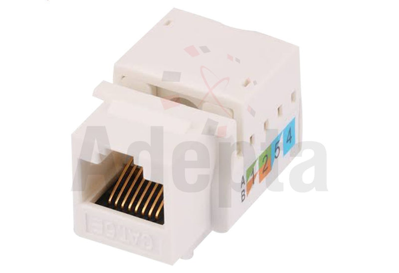 Cat 6 Keystone Module (RJ45 Network Jack) – Tool-Free Ethernet Wall Jack